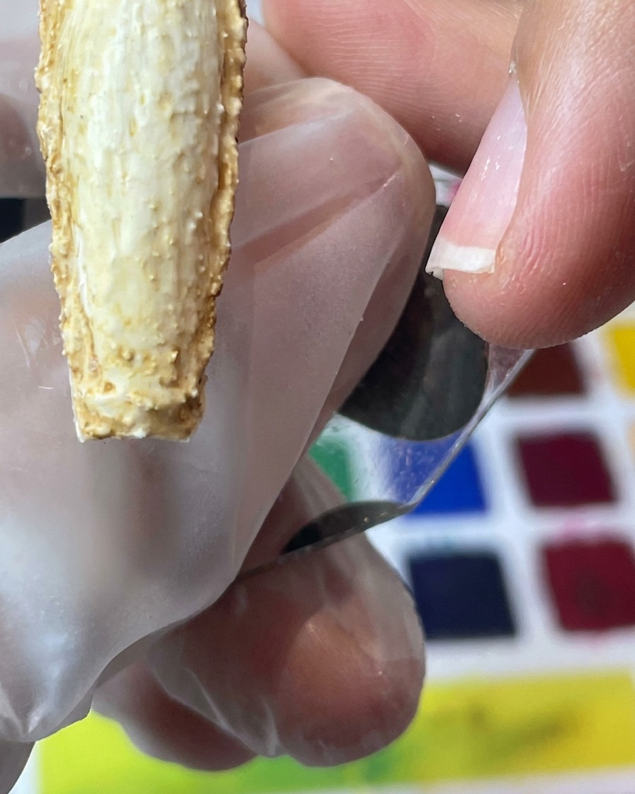 Zbliżenie na pędzelek nakładający ciemnobrązowy pigment na teksturowane krawędzie paznokcia.