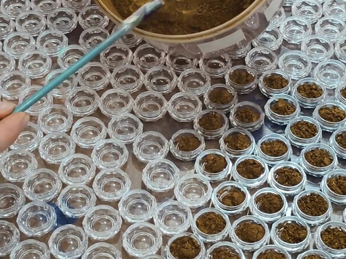 Zbliżenie narzędzia precyzyjnie deponującego sypki brązowy pigment w pierwszym przezroczystym pojemniku siatki.